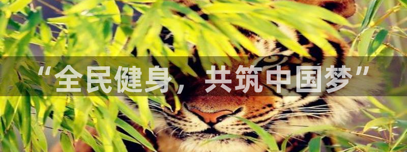 oety欧亿体育官网下载招商电话是多少啊：“全民健身，共筑中