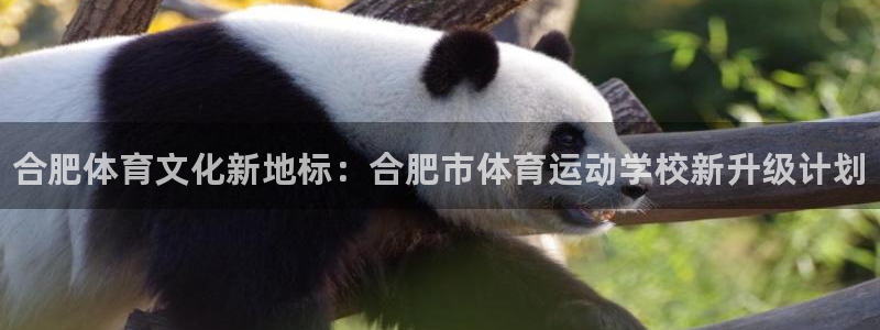 oety欧亿体育官网下载招商电话号码是多少啊：合肥体育文化新
