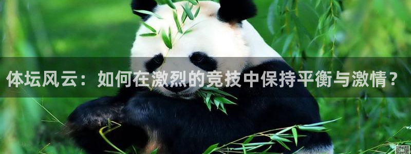 欧亿体育官方正版app娱乐网站：体坛风云：如何在激烈的竞技中
