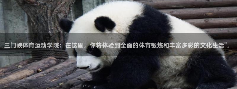oety欧亿体育官网下载平台是正规平台吗知乎：三门峡