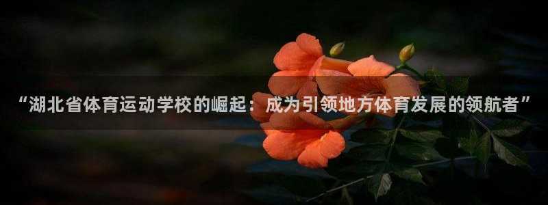 欧亿体育官方正版app集团简介：“湖北省体育运动学校