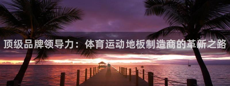 德国欧亿体育官方正版app集团：顶级品牌领导力：体育