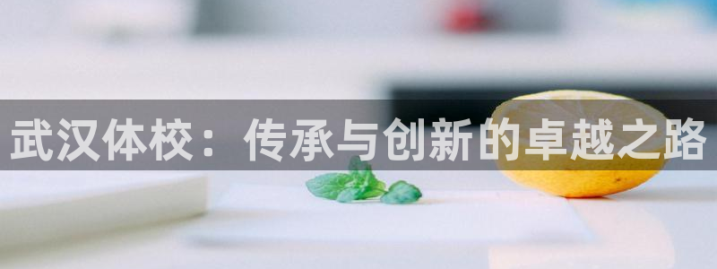 欧亿体育官方正版app官网：武汉体校：传承与创新的卓越之路