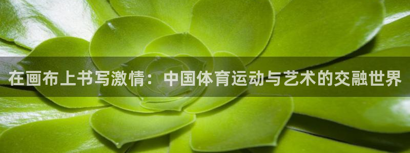 oety欧亿体育官网下载平台假的吗是真的吗吗：在画布上书写激