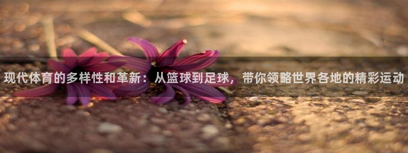 欧亿体育官方正版app五金厂：现代体育的多样性和革新：从篮球