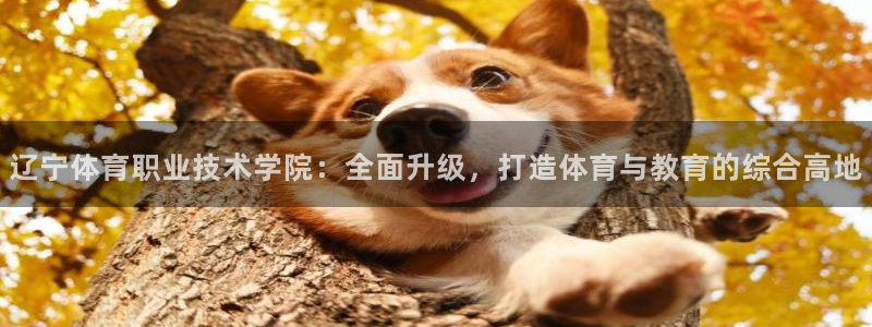 欧亿体育官方正版app集团官网网址