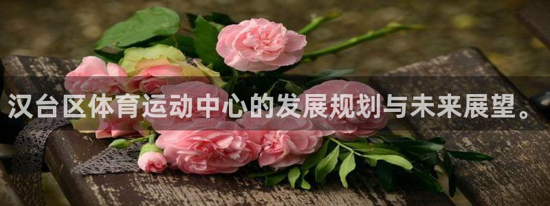 欧亿体育官方正版app集团官网首页：汉台区体育运动中心的发展