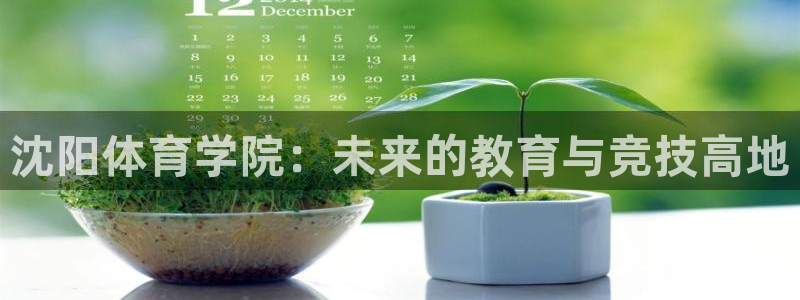 oety欧亿体育官网下载平台注册流程视频：沈阳体育学院：未来