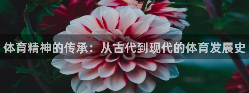 oety欧亿体育官网下载平台注册要钱吗安全吗：体育精