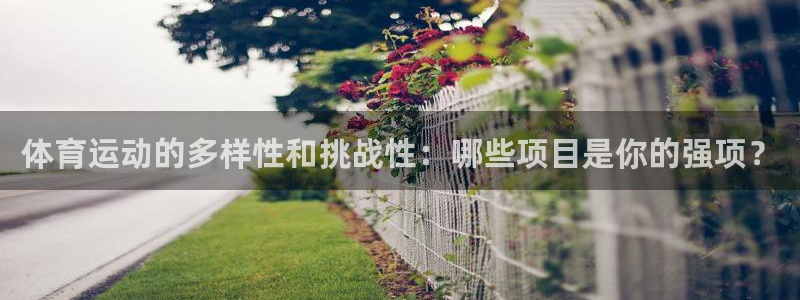 oety欧亿体育官网下载平台注册要钱吗安全吗：体育运