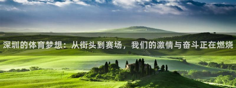 oety欧亿体育官网下载平台注册流程视频：深圳的体育梦想：从