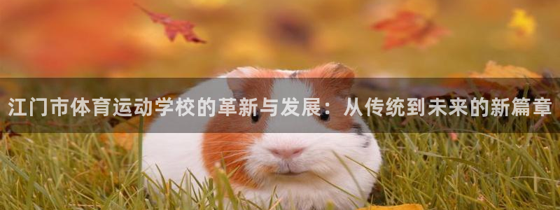 oety欧亿体育官网下载平台是正规平台吗：江门市体育