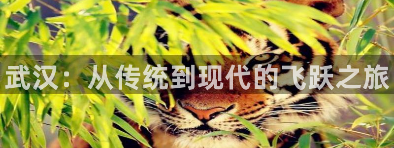 欧亿体育官方正版app娱乐：武汉：从传统到现代的飞跃