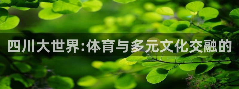 oe欧亿oer：四川大世界:体育与多